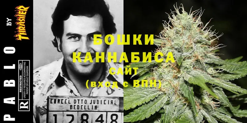 Конопля Ganja  Чкаловск 